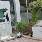 নারায়ণগঞ্জে মুজিবের ম্যুরাল ভাঙচুর
