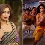 ‘চিকনি চামেলি’ গানের সমালোচনায় শ্রেয়া