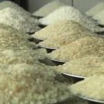 ভারত থেকে ৫০ হাজার টন চাল কিনবে সরকার