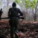 ভারতীয় সেনার হাতে নিহত ৩১ মাওবাদী