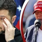 জেলেনস্কি কোনো গুরুত্বপূর্ণ ব্যক্তি নয়: ট্রাম্প