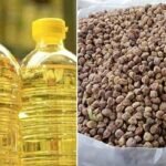 সয়াবিনের পর অস্থির হচ্ছে ছোলার বাজার