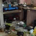 ফিল্মি স্টাইলে প্রবাসীর বাড়িতে হামলা-ভাংচুর, লুটপাট, আটক ১