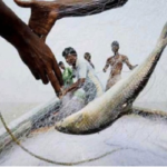 সাগরে ৫৮ দিন মাছ ধরা নিষিদ্ধ
