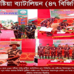 দৌলতপুর সীমান্তে বিজিবি-বিএসএফ সেক্টর কমান্ডার পর্যায়ের সৌজন্য সাক্ষাত