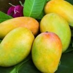 কেমিক্যালমুক্ত আম চেনার উপায়
