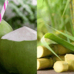 গরমে কোনটি ভালো, ডাবের পানি নাকি আখের রস