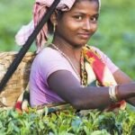 ‘মুল্লুক চলো’ আন্দোলন দিবসকে চা শ্রমিক দিবস ঘোষণার দাবি