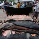 প্রতি বর্গফুটে ৫ টাকা বাড়ল কোরবানির গরুর চামড়ার দাম