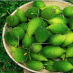 কাঁকরোলের গুণাগুণ