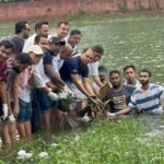 জিয়া উদ্যানের লেকে ‘শাপলা ফুল’ রোপণ করল ‘আমরা বিএনপি পরিবার’