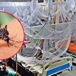 ডেঙ্গুতে আরও দুইজনের মৃত্যু, হাসপাতালে ভর্তি ৩৯২