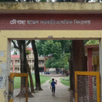 চৌগাছায় মডেল সরকারি প্রাথমিক বিদ্যালয়ে রহস্যজনক চুরি, থানায় অভিযোগ