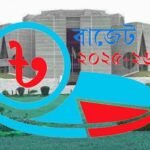 সংসদবিহীন বাজেট কীভাবে পাস হবে?