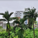 ১১ জেলায় ঝড়-বৃষ্টির আভাস, নদীবন্দরে সতর্কসংকেত