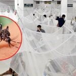 ডেঙ্গুতে আরও একজনের মৃত্যু, হাসপাতালে ৩৯১