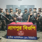 দৌলতপুর সীমান্তে বিজিবি’র অভিযানে বিদেশী পিস্তুল ও গুলিসহ আটক-২