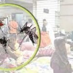 ডেঙ্গুতে একজনের মৃত্যু, হাসপাতালে ভর্তি ৩৯৩