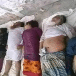 নাটোরে মর্মান্তিক সড়ক দুর্ঘটনায় দৌলতপুরের একই পরিবারের ৭ জন সহ ৮ জন নিহত : এলাকায় শোকের মাতম