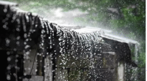 আগামী ৫ দিন যেসব এলাকায় ভারি বর্ষণ হতে পারে