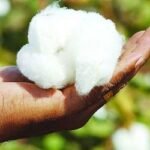 তুলা আমদানিতে অগ্রিম আয়কর প্রত্যাহার