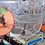 ডেঙ্গুতে শিশুসহ দুইজনের প্রাণহানি, হাসপাতালে ৩৩৭