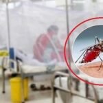 ডেঙ্গু আক্রান্ত হয়ে হাসপাতালে আরও ১৩৮ জন