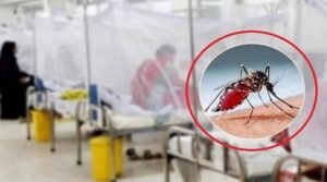 ডেঙ্গু আক্রান্ত হয়ে হাসপাতালে আরও ১৩৮ জন