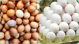 ডিমে চাঙাভাব, খুচরা বিক্রি হচ্ছে ১১০ টাকা ডজনে