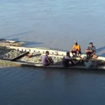তিস্তাতীরে কান্না, সিন্ডিকেটের উৎসব..