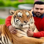 পাকিস্তানে অভিযান, বাঘের মতো বন্যপ্রাণী লুকিয়ে রাখছেন মালিকরা