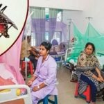 ডেঙ্গু আক্রান্ত হয়ে হাসপাতালে আরও ৩৫৬ জন