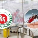 ডেঙ্গুতে হাসপাতালে ভর্তি আরও ১৯০