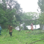 ফুলবাড়ীতে ক্রয়কৃত সম্পত্তিতে ঘরবাড়ী ভাংচুর ও মারপিট॥