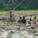 শাপলা বিলে নৌকা ডুবে প্রাণ গেল দুই বন্ধুর
