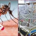 ডেঙ্গুতে আরও একজনের মৃত্যু, হাসপাতালে ৪৩৪