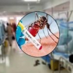 ডেঙ্গুতে আক্রান্ত হয়ে হাসপাতালে ভর্তি ৩৪৩