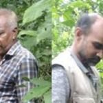 গাছ চুরির তথ্য সংগ্রহে গিয়ে হামলার শিকার ২ সাংবাদিক