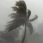 ভারী বর্ষণের আভাস ৩ বিভাগে, বাড়তে পারে বৃষ্টিপাত