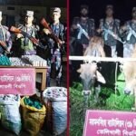 শেরপুর সীমান্তে বিপুল ভারতীয় ওষুধ, মাদক ও ৭ চোরাই গরু আটক