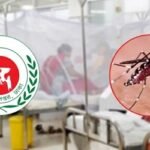 ডেঙ্গুতে আরও একজনের মৃত্যু, নতুন আক্রান্ত ৬৬৪