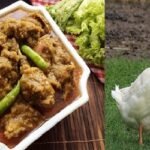 হাঁসের মাংসের যত উপকারিতা