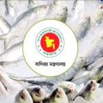দুর্গাপূজায় ভারতে ইলিশ রপ্তানির অনুমোদন পেল ৩৭ প্রতিষ্ঠান