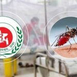 ডেঙ্গুতে আরও ৬ জনের প্রাণহানি, নতুন শনাক্ত ৬৪৭