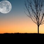 ফাতেহা-ই-ইয়াজদাহম কেন পালিত হয়?