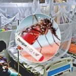 ডেঙ্গু আক্রান্ত হয়ে হাসপাতালে আরও দেড় শতাধিক রোগী