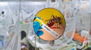 ডেঙ্গুতে প্রাণ গেল আরও ৪ জনের
