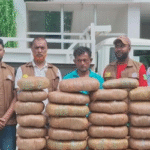 নরসিংদীতে ৪৫ কেজি গাঁজাভর্তি পিকআপ ভ্যানসহ ১ জন আটক