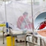 ডেঙ্গুতে একদিনে ৬ মৃত্যু, হাসপাতালে ভর্তি ৯৮৩