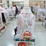 ডেঙ্গুতে আরও ৪ জনের মৃত্যু,হাসপাতালে ভর্তি ৭৮১